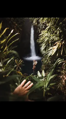The good ole creeping through the bush shot #hawaii #waterfall #tiktoktravel #fyp #photography #foryou