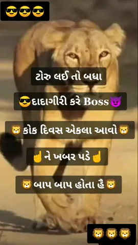 😎🦁એકલા આવો એકલા🦁😈#bk_group_vada #t4t_team #7706team @tiktok_india @bhavesh_thakor_1111 @shilu_rajwadi