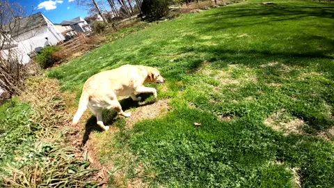 wait for it.... you'll see @gopro #gopro #trendingnow #homepro #virals #fypu #goprovideos #foryourpage #tiktokviews #millionviews #ouch