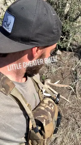 It’s hot out here 🔥 #fyp #foryou #shedantlers #shedhunting