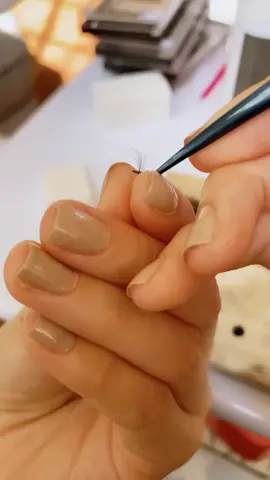 Fan building at its finest 🥰 #lashextensions #fanbuilding #fyp
