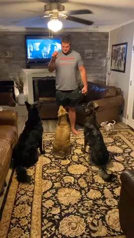 Is this how this is supposed to work???