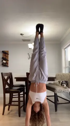 watch my dog hehe #foryou
