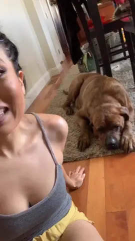 #canipetthatdog
