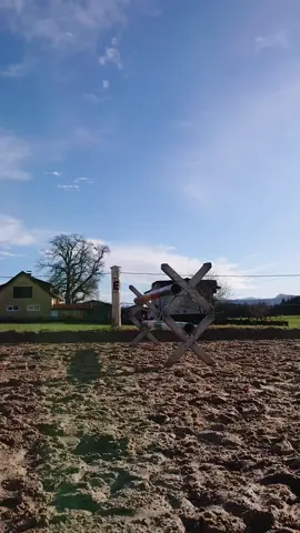 (Video vom Dezember) ja er hat im ersten Video eine zipfelmütze auf 😂war für Fotos 🙈 #fail #noriker #hüpfen #pferdemädchen