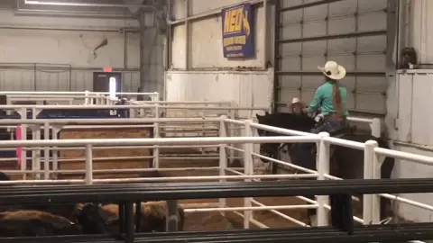 #rodeo #imissit #coronavirus #quarantine #punchycowgirls #polebending #baypony #flyingleadchanges #smoothaf #tigger #rodeolife #champion #levelup