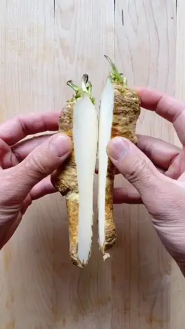 HOT🔥 #sixpackchef #theshirtlesschef #chef #cooking #food #knifeskills #tiktokfood #todaywelearned #whatsinside #strangefood #quickrecipe #spicyfood