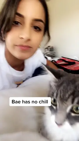 Damn that hurt #healthheroes #freezeframe #bookclub #fyp #foryou #foryoupage #catsoftiktok