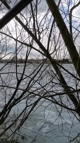 Умный и глупый рыбак#хочуврек #рыбалкаудалась #рыбаки