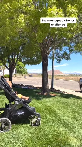 WAIT FOR IT😂 New momsquad stroller challenge...like the shopping cart challenge but with less abs #MomsofTikTok #challege #babiesoftiktok #fyp