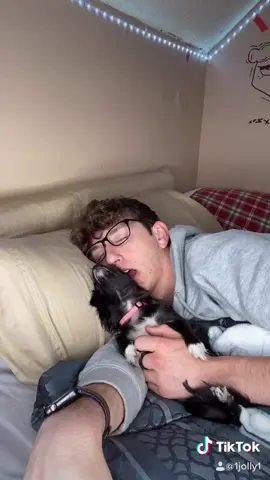 Nap Time 🥺❤️ #foryou #foryoupage #feature #featureme #tiktok #pets #dogs #petlife #keepingbusy