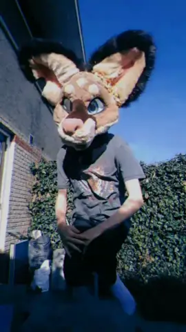 🏀#fursuit #furryfandom #aesthetic #fursuitmaker #dutchcomiccon #lemonfur #fursuiter #furry #comission