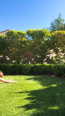 prayer + meditation + sunlight ☀️  #dancing #dance #meditate #flow #FYP #musiclives #leavingmybody #grow #foryou