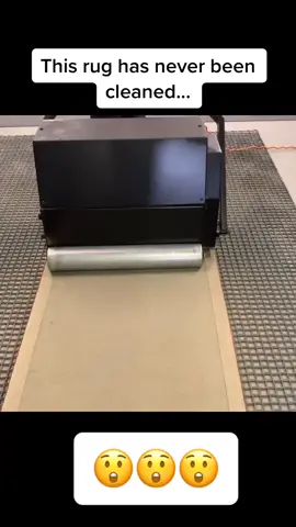 Dusting rugs is key to removing all the dirt and soil! #satisfying #fyp #oddlysatisfying #moodboost