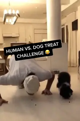 David Pastrnak is now taking part in treat races 😂 (🎥: IG/davidpastrnak) #dog #hockey #positivevibes #foryou #fyp #bored #boredathome #sports