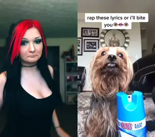 #duet with @im.kxlxn don’t bite me pupper #dog #nickiminaj #puppy #superbass #rapthesongchallenge #fyp #foryoupage #barbz #nicki #minaj #cursedimages