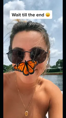 this little guy landed on my boat, Goodbye my friend #tiktokcovers #cursedimages #butterfly #sad