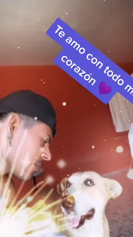 #amoalosamimales #amoalosperros #lovedog #viral #tiltok #parati