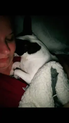 Best puppy he is just turned one Friday. #mommasboy #adopted