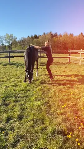 What’s happenin 🤔😂💕 na, wer kann das auch ? Ich bin 1,75m und mein Pferd ist 1,73m 😄 #fy #foryou #equestrian