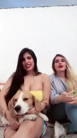 Tag