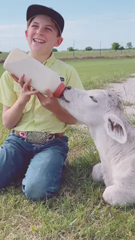 Which one’s cuter?! #thankgodimacountryboy #countryboy #ranchlife #farmlife #babycalf #calvesoftiktok