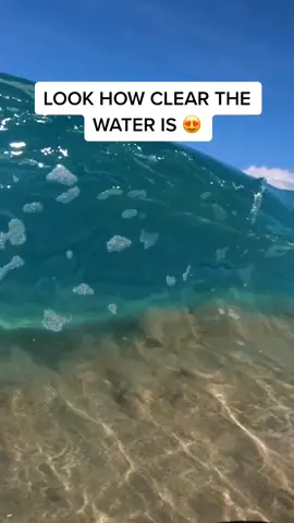 Look how clear the water is 😍 #Clearwater #waves #ocean #hawaii #fyp #foryou #xyzcba