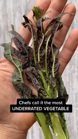 Lettuce Cut it🙈 #sixpackchef #chef #cooking #food #tiktokfood #todaywelearned #whatsinside #strangefood #natureathome #tasty #yum #minitutorials #veg