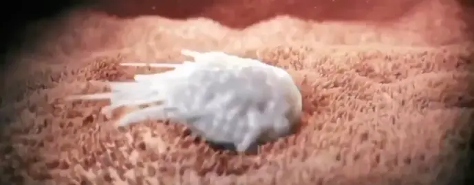 White cell going after cancer cells #fyp #foryoupage #xyzbca #meme #funny #viral #funnymeme Video Source:YT #cancerawareness