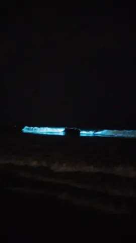 went to see the #bioluminescent waves tonight 💙
