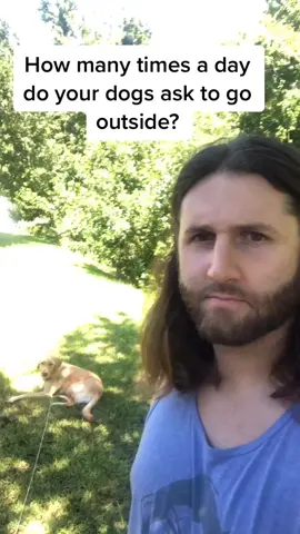 Dog dad life #dog #dogs #puppy #dogdad #4u #xyzbca #dogsoftiktok