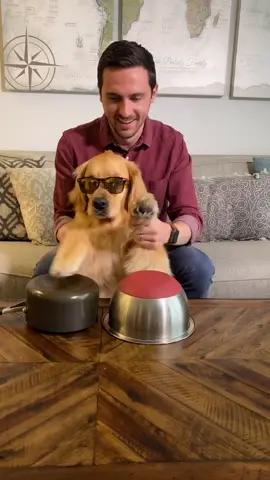 Filmed live for the news (KSTP). Link in the comments tonight. #happyathome #goldenretriever #dog