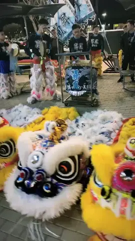 No Smoke #liondance #tiktokliondance #liondancesports #passion #rpld #culture #dragondance #keepingactive #drumming #dance #dallas #celebration
