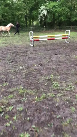 Flying Ufo! Weer eens wankelingen sprongetjes met Ufo gemaakt wat een toppertje ♥️😘