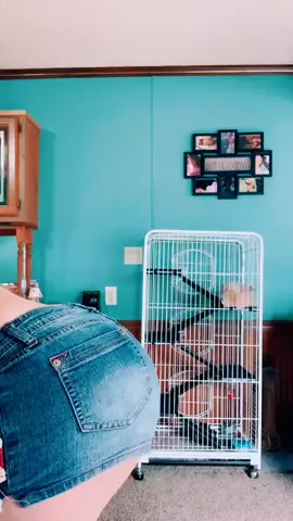 I touched the butt🤭 #fyp #freezeframe