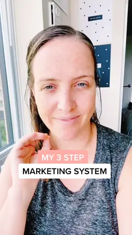 The 3 step marketing system I use! #socialmediatips #smallbiztips #smallbusinessowners #tipsforinstagram #igtips #socialmediamarketingtips
