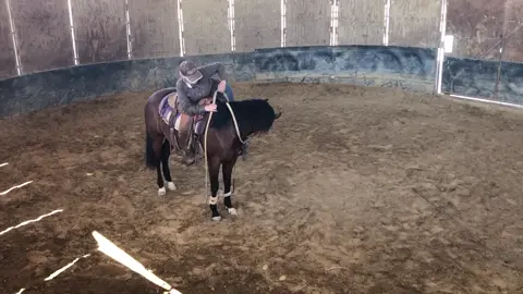 Another video about working with colts. If y’all want to see something let me know! #horse #horsetraining #paint #colt #fyp