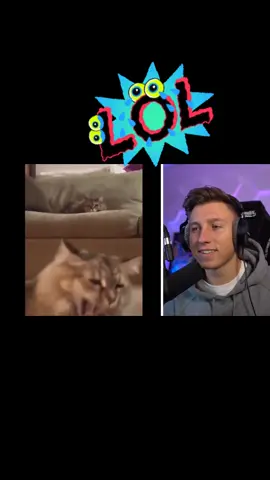 Habt Ihr die Nicht Lachen Challenge geschafft? 😂 Schau das ganze Video auf dem Paulberger Kanal! #icrimax #paulberger #reaction #funny #meme #lustig