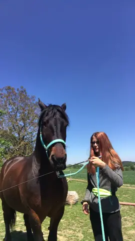 Unser neuer Trick😍bin total stolz🙈Der Kommentar mit 0 likes bekommt ein Follow😊🙈 #foryou ? #viral #viralvideo #noriker #fyp