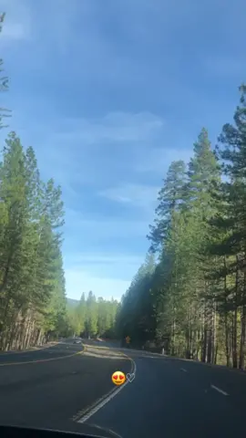 I celebrated my birthday 🎂 In LAKE TAHOE and it went like this #fyp #foryoupage #southlaketahoe #cabin #winter2019#memories #nature#snow #california