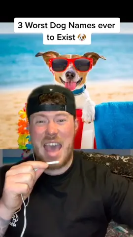 3 Worst Dog names ever to Exist.... #foryou #foryoupage #fyp #viral #funny #PetsOfTikTok
