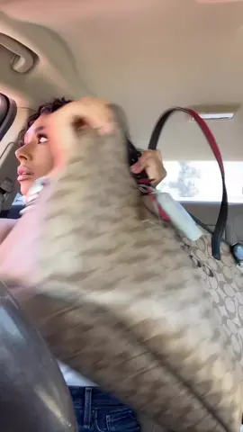 I am officially obsessed with TikTok 😂 #ihaveaboyfriend #gettinghiton #cartiktok #foryoupage #fy #foryou