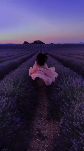 Tag someone you'd love to run in the lavender fields with 💜🌾 #provence #france #lavander #lavanderfields #ladolcevita #travel #tiktoktravel #sunrise