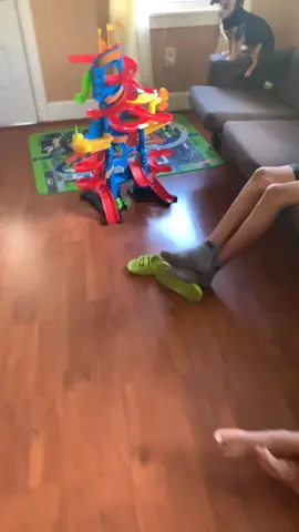 #dogsoftiktok #mommysbaby #MomsofTikTok #puppysoftiktok #yorkies