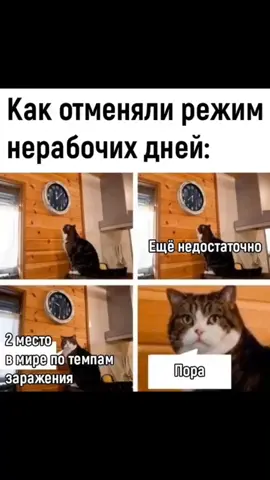 #самоизоляция