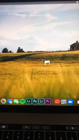 Decided to change my MacBook vibe 😂 #badboy #goat #mac #macbook #icons