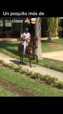 #caballos #caballistasdecorazon #caballistascolombia #caballo #caballochallenge #caballistade_corazon #caballistadeverdad