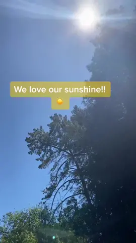 Happy Friday everyone!! ☀️ #sunshinecoast #beautifulerrorchallenge #muchachathemacaw #blueandgoldmacaw #rescueanimal #birdsoftiktok