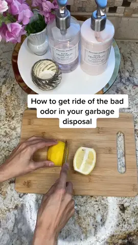 All you need is a lemon! #garbagedisposalchallenge #howto #howtotiktok #lemon #Home #happyathome #decorideas #tips #hometips