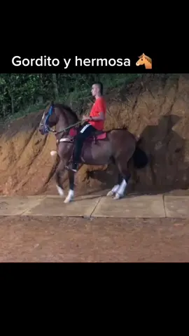 #caballo #caballos #caballoscolombia #caballista #caballistas #caballistasdecorazon #caballistascolombia #colombia #medellin